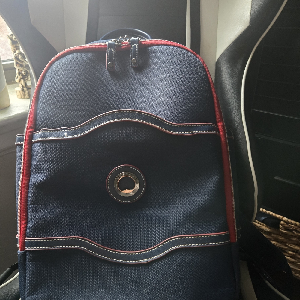 Delsey Paris Stylish Navy and Red Backpack